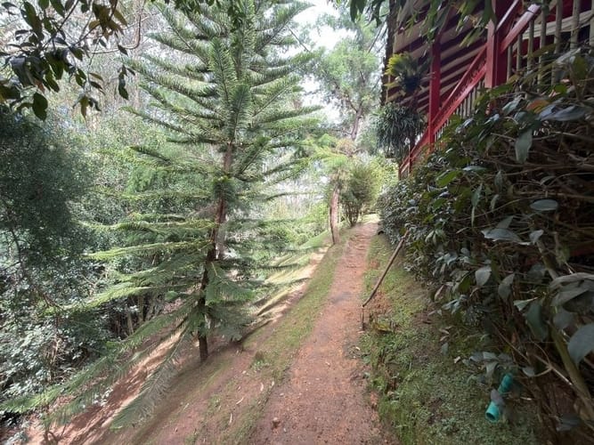 Finca en venta en San Antonio De Pereira, El Carmen de Viboral, 1645 m² · foto 12 de 24