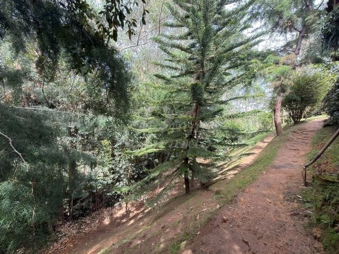 Finca en venta en San Antonio De Pereira, El Carmen de Viboral, 1645 m² · foto 13 de 24