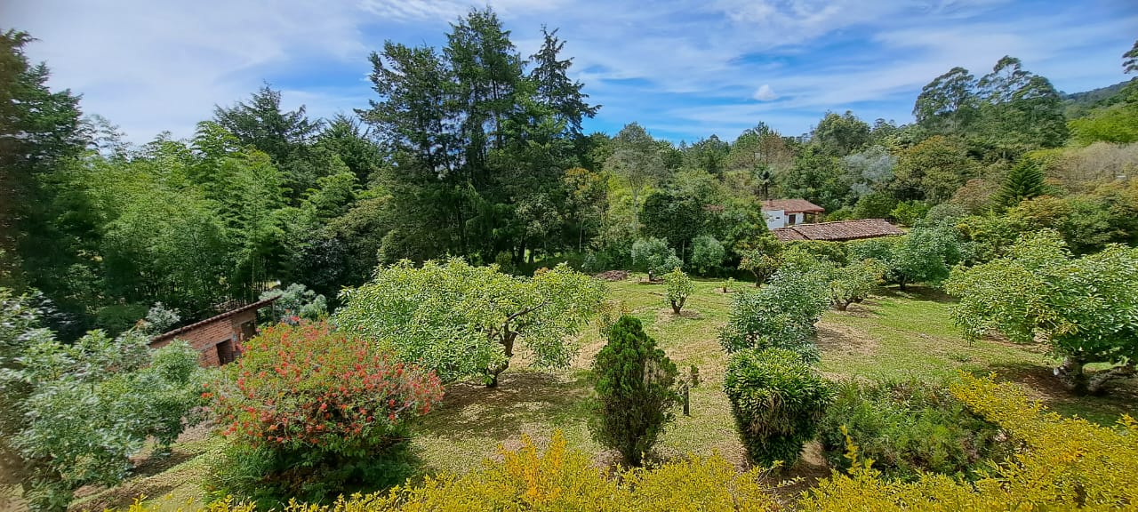 4BR Country House in El capiro for Sale - 4
