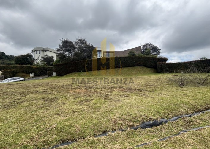 Lote en venta en Vía Las Palmas, Envigado, 1191 m² · foto 4 de 7