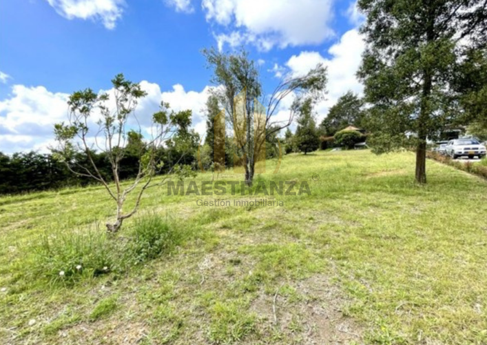 Lote en venta en Las Palmas, Envigado, 3175 m² · foto 4 de 14