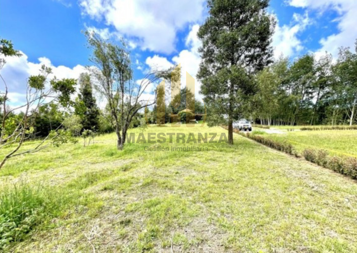 Lote en venta en Las Palmas, Envigado, 3175 m² · foto 11 de 14