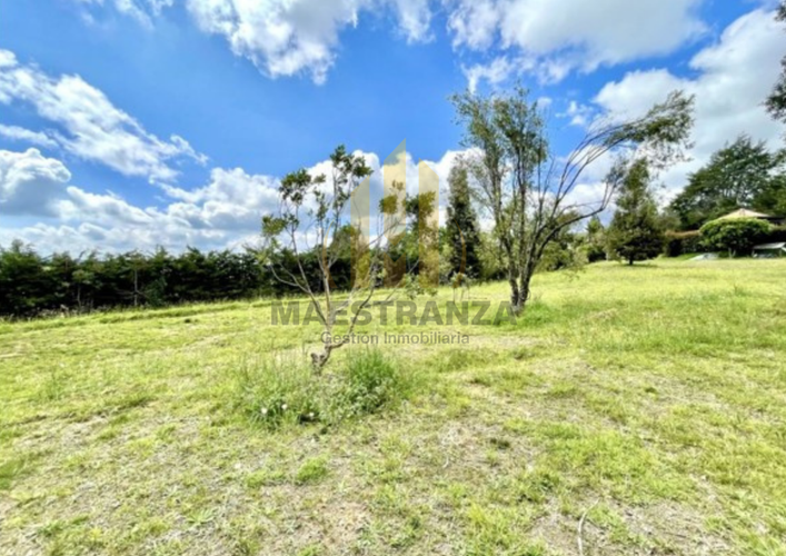 Lote en venta en Las Palmas, Envigado, 3175 m² · foto 13 de 14