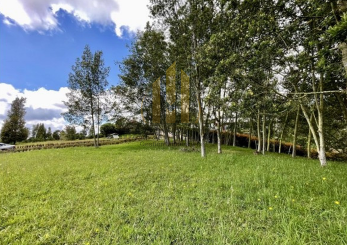 Lote en venta en Las Palmas, Envigado, 2862 m² · foto 2 de 9