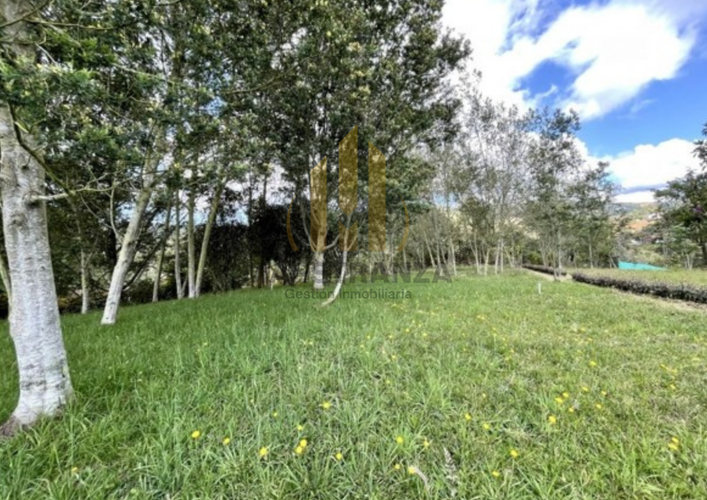 Lote en venta en Las Palmas, Envigado, 2862 m² · foto 3 de 9