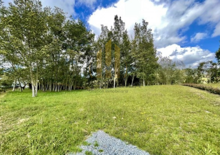 Lote en venta en Las Palmas, Envigado, 2862 m² · foto 4 de 9
