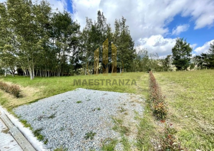 Lote en venta en Las Palmas, Envigado, 2862 m² · foto 5 de 9