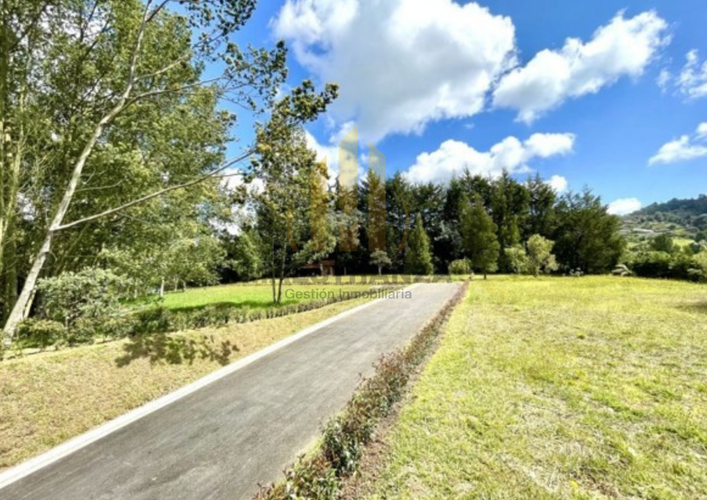 Lote en venta en Las Palmas, Envigado, 2862 m² · foto 9 de 9