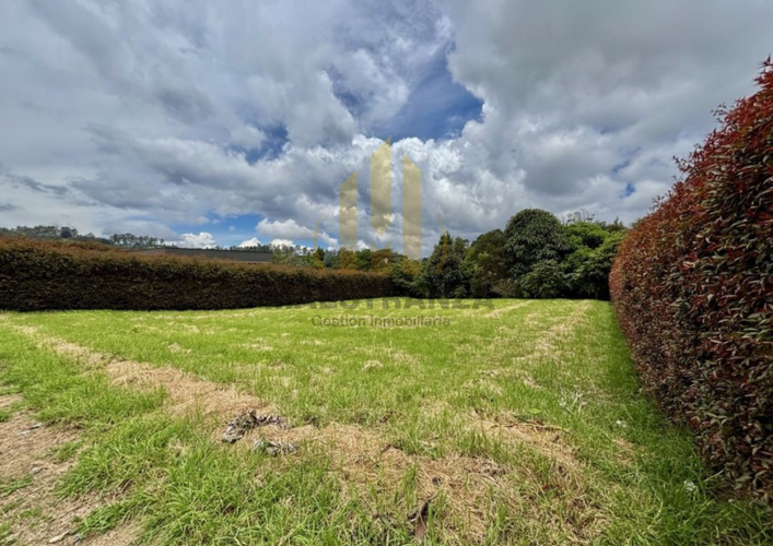 Lote en venta en Vía Las Palmas, Envigado, 2108 m² · foto 5 de 10