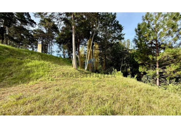 Lote en venta en Don Diego, El Retiro, 6277 m² · foto 2 de 12