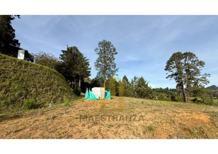 Lote en venta en Don Diego, El Retiro, 6277 m² · foto 3 de 12