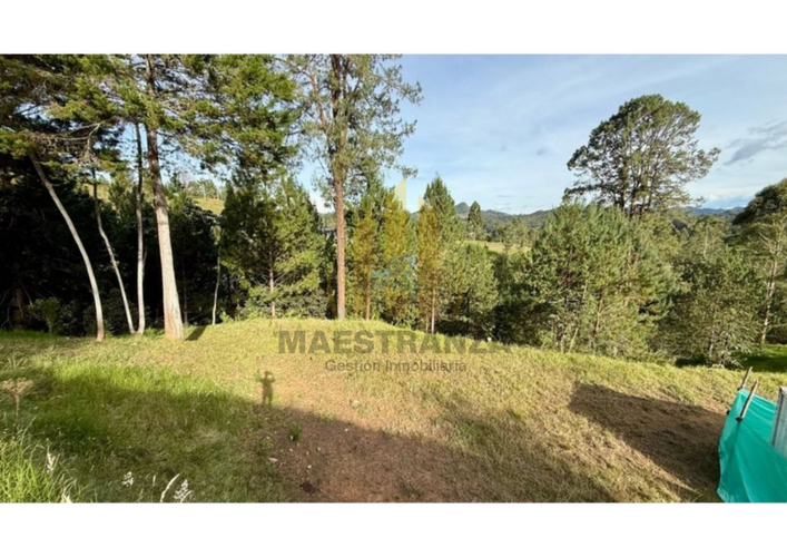 Lote en venta en Don Diego, El Retiro, 6277 m² · foto 5 de 12