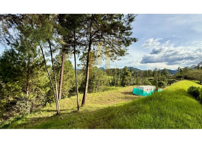 Lote en venta en Don Diego, El Retiro, 6277 m² · foto 6 de 12