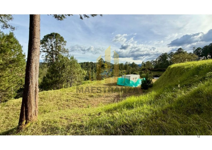 Lote en venta en Don Diego, El Retiro, 6277 m² · foto 12 de 12
