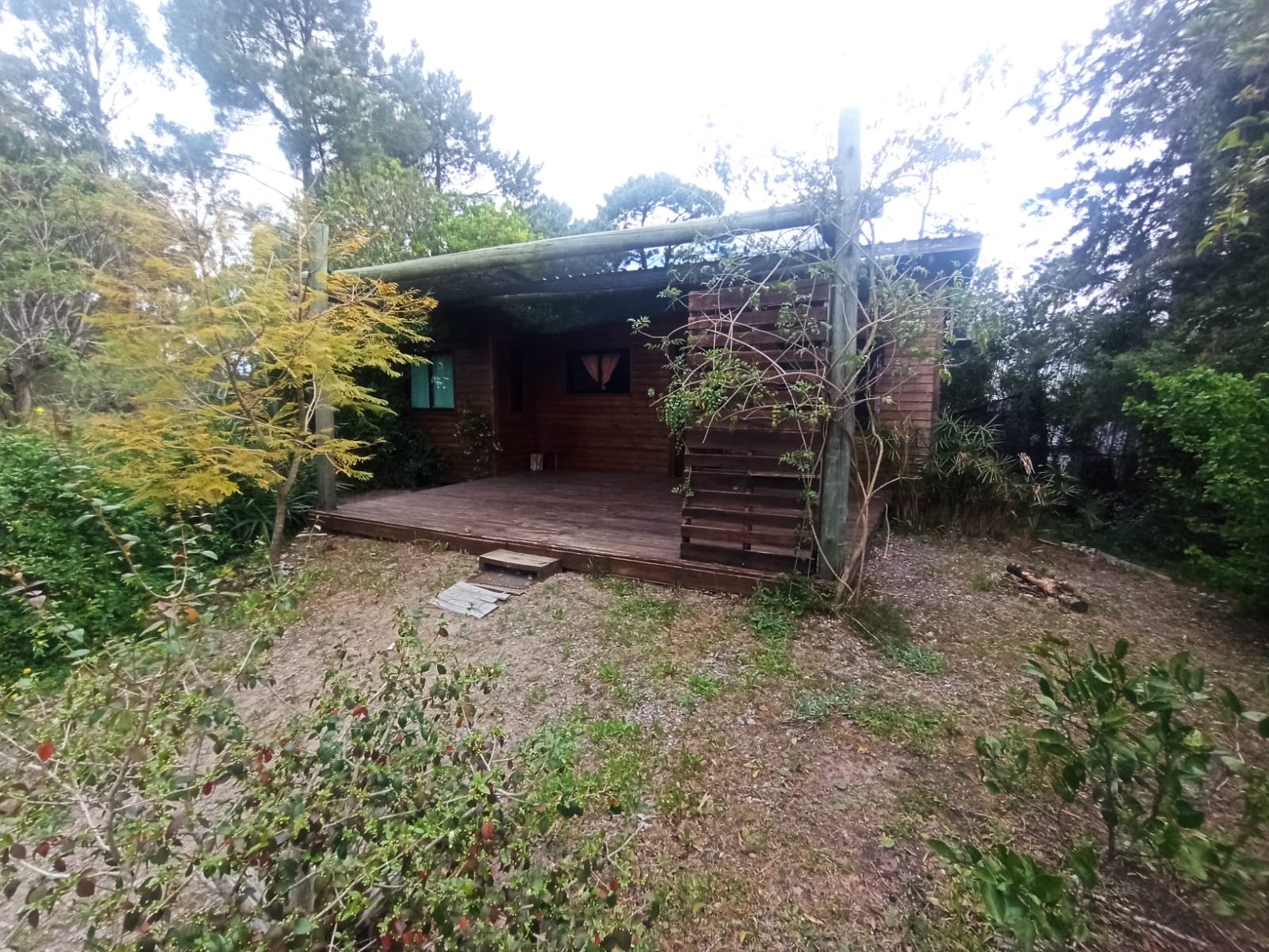 Cabaña en Alquiler Anual o Periodos Largos en La Floresta Sur || 1 Dormitorio Padrón Compartido