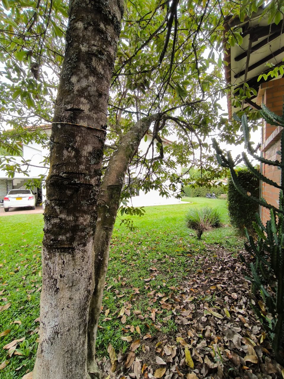 Casa en venta en Cerritos, Pereira · foto 6 de 24