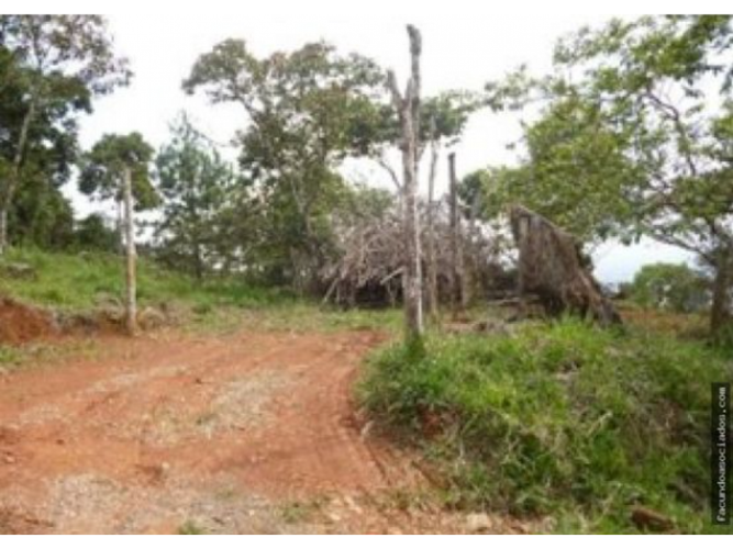 Lote en venta en Monaco, Cali, 9285 m² · foto 2 de 6