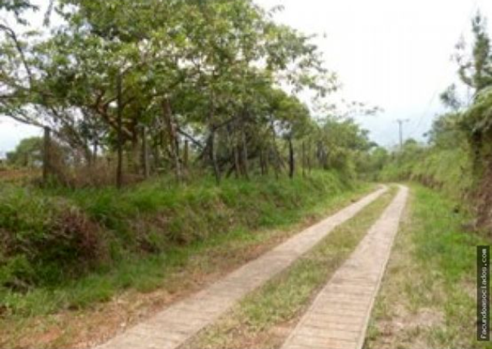 Lote en venta en Tejares Cristales, Cali, 9285 m² · foto 5 de 6