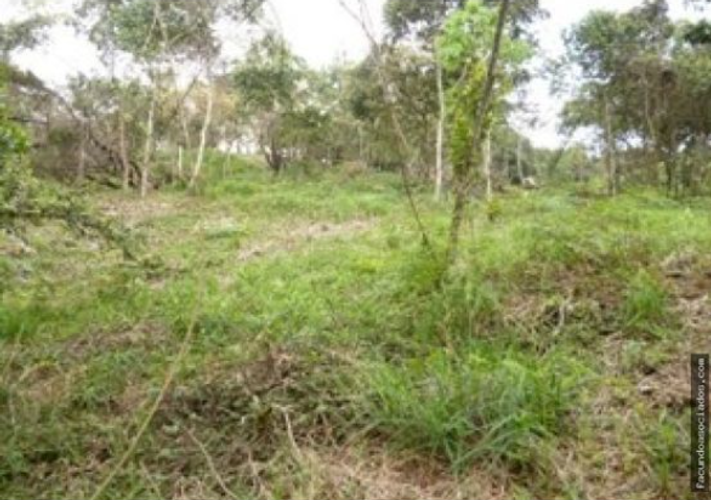 Lote en venta en Tejares Cristales, Cali, 9285 m² · foto 6 de 6