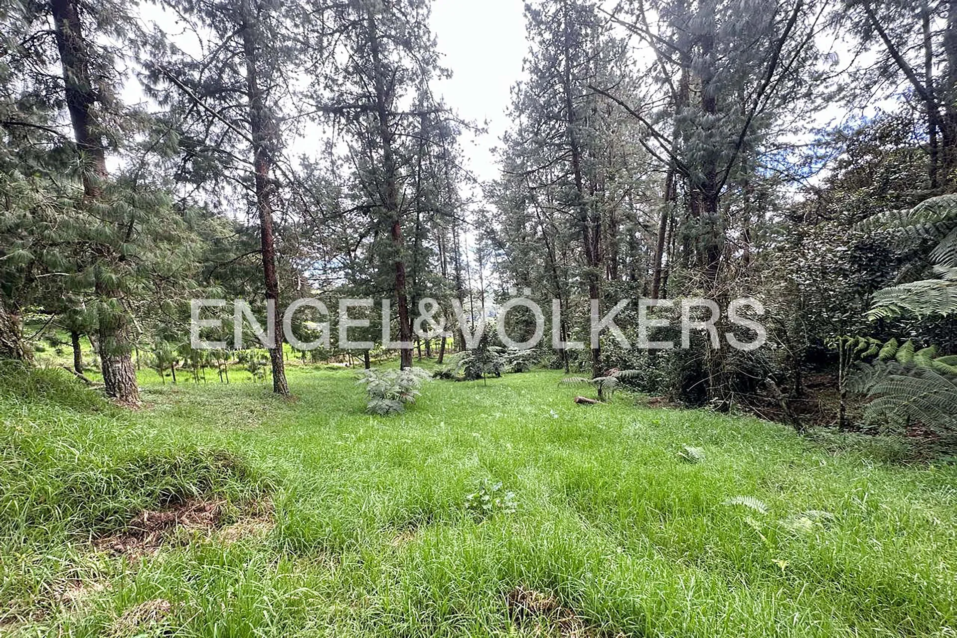Land in Las palmas for Sale - 4