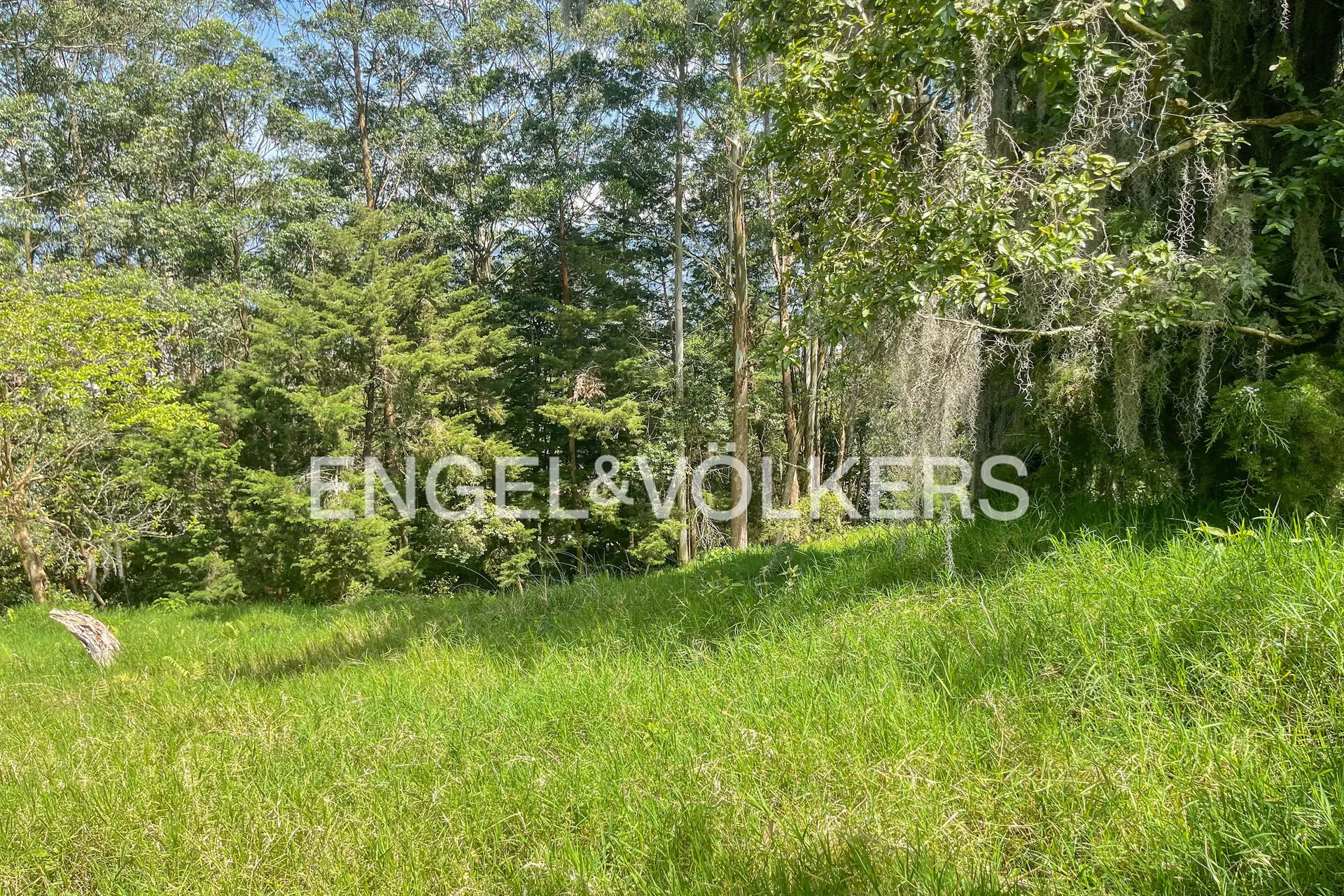 Land in San Lucas for Sale - 4