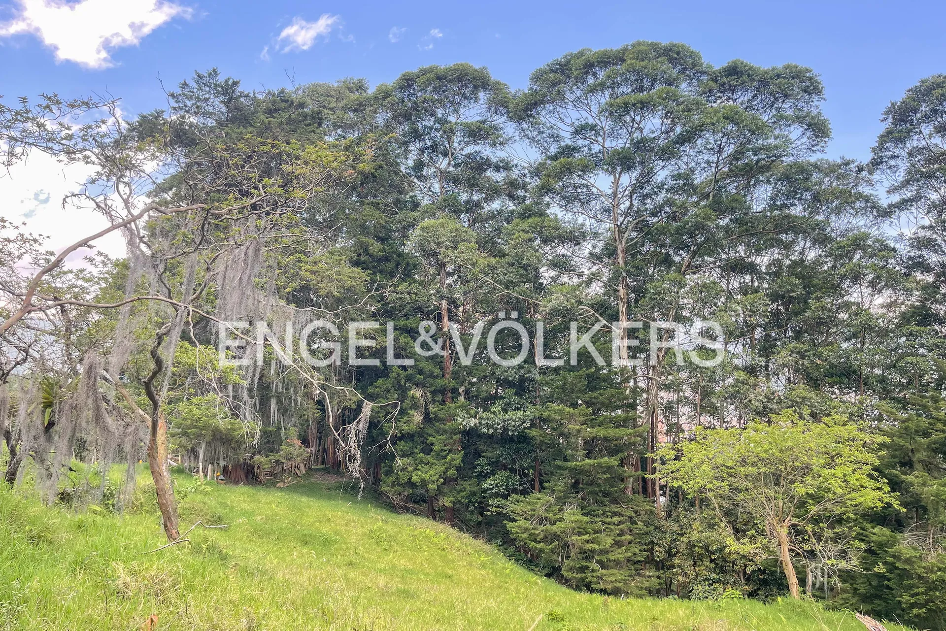 Land in San Lucas for Sale - 3