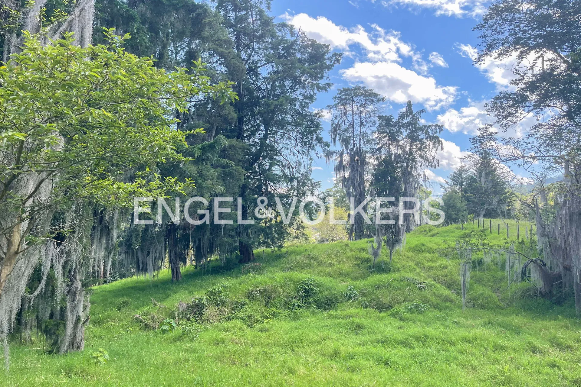 Land in San Lucas for Sale - 2