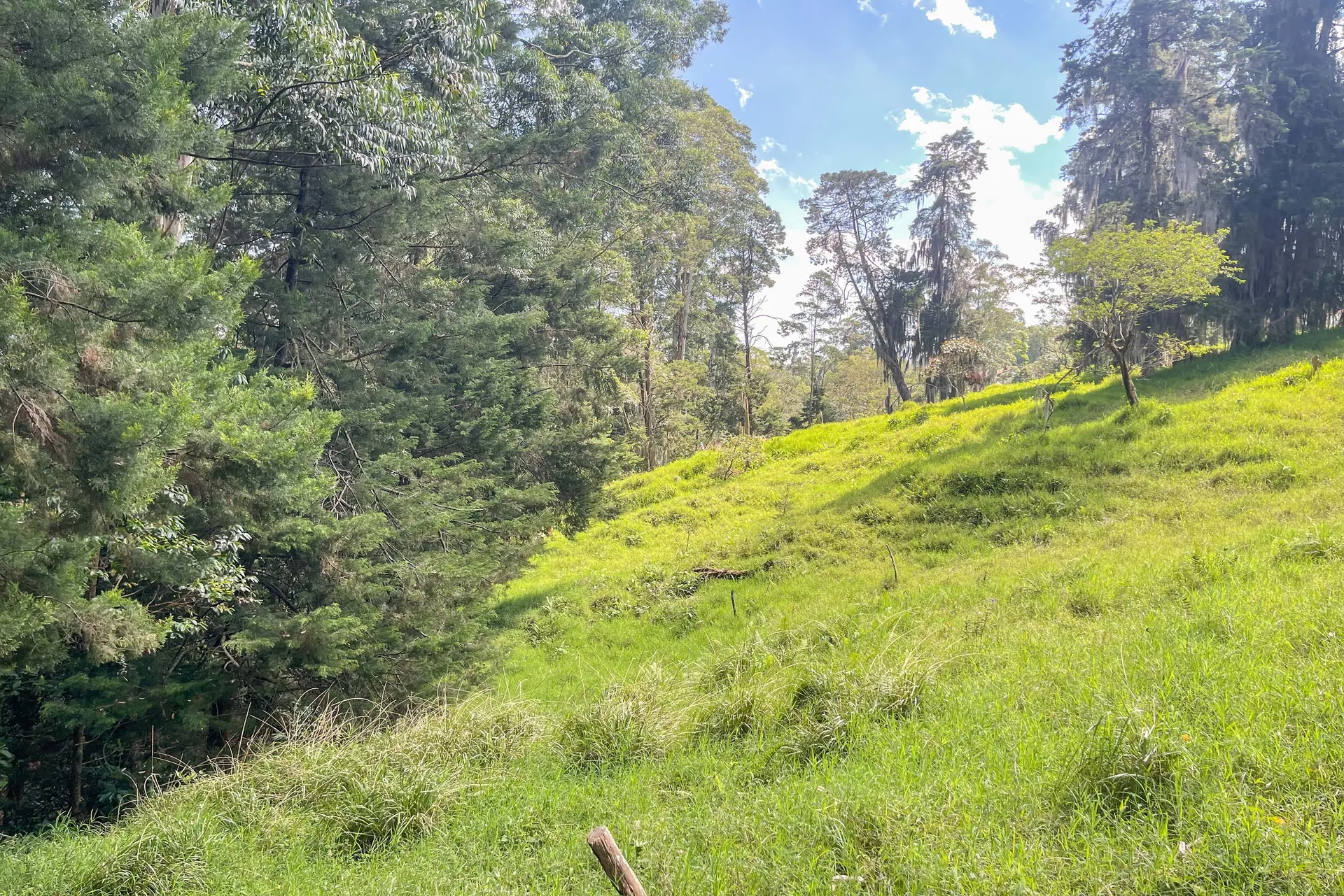 Land in San Lucas for Sale