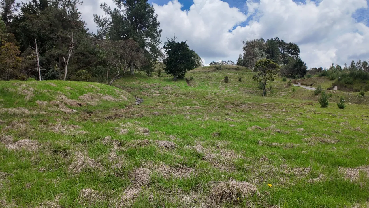 Land in Las palmas for Sale