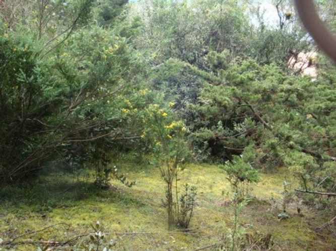 Lote en venta en Paso Real, La Calera, 2500 m² · foto 2 de 7