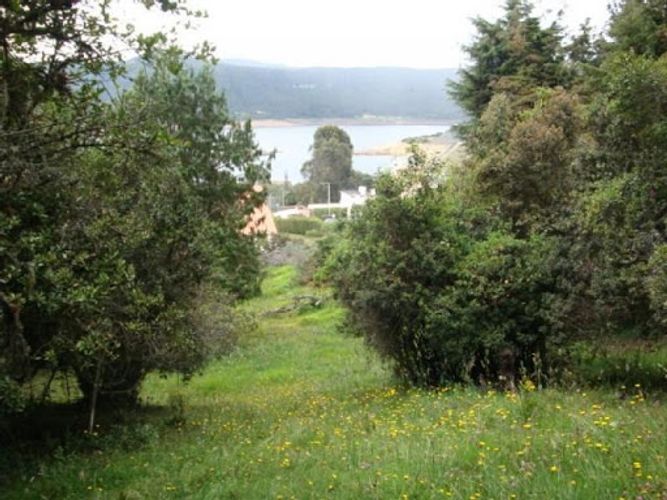 Lote en venta en Paso Real, La Calera, 2500 m² · foto 3 de 7