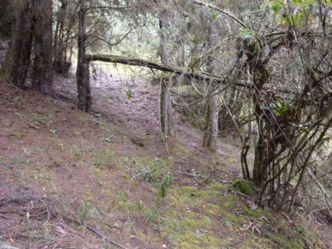 Lote en venta en Paso Real, La Calera, 2500 m² · foto 5 de 7