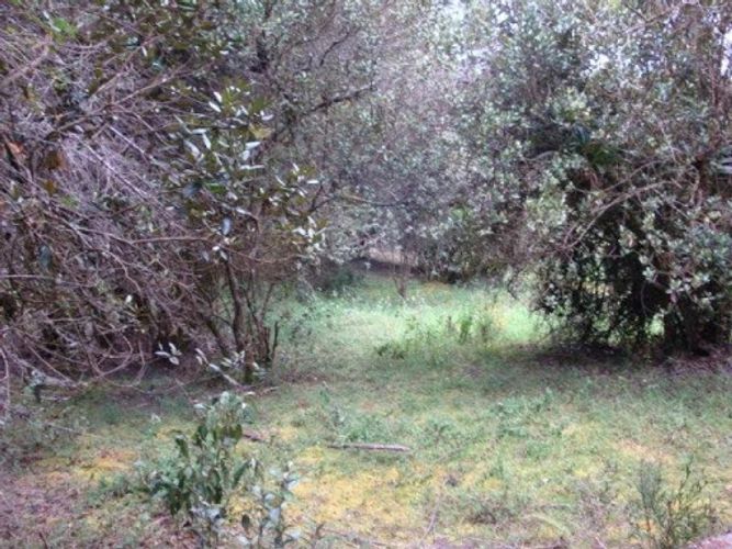 Lote en venta en Paso Real, La Calera, 2500 m² · foto 6 de 7