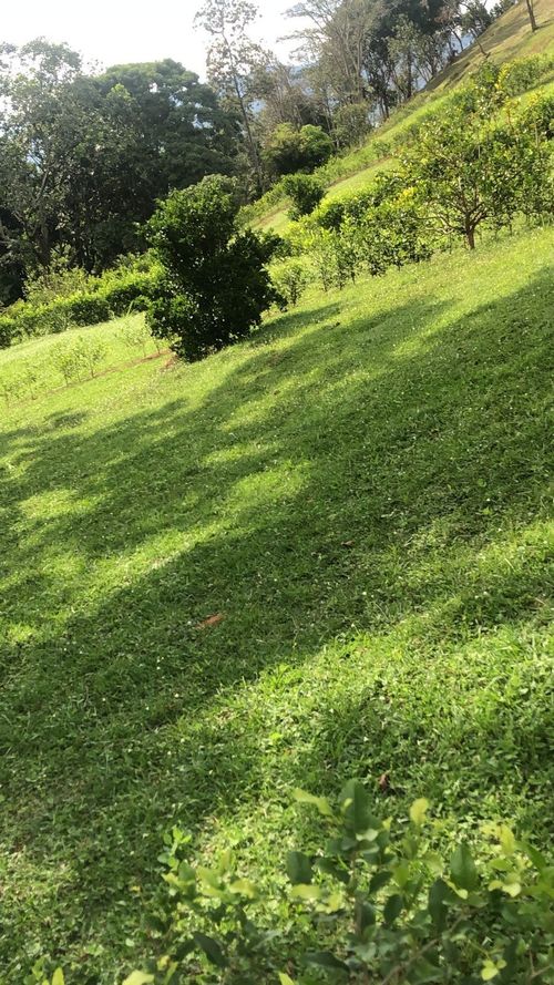 Lote en venta en Los Llanitos, Piedecuesta, 665 m² · foto 5 de 8