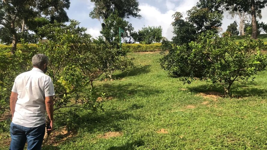 Lote en venta en Los Llanitos, Piedecuesta, 665 m² · foto 4 de 8