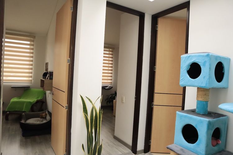 Casa de 3 alcobas en venta en Pueblo Viejo, Cota, 111 m² · foto 14 de 23
