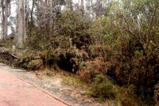 Lote en venta en Bachue, Chía, 3077 m² · foto 3 de 7