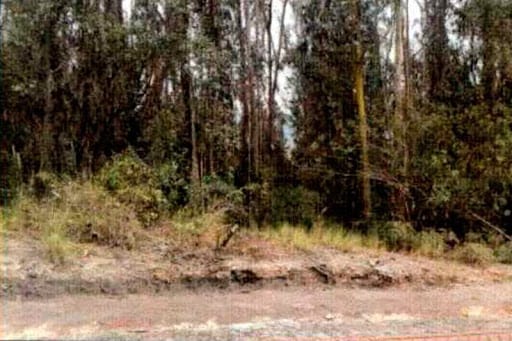 Lote en venta en Bachue, Chía, 3414 m² · foto 3 de 7