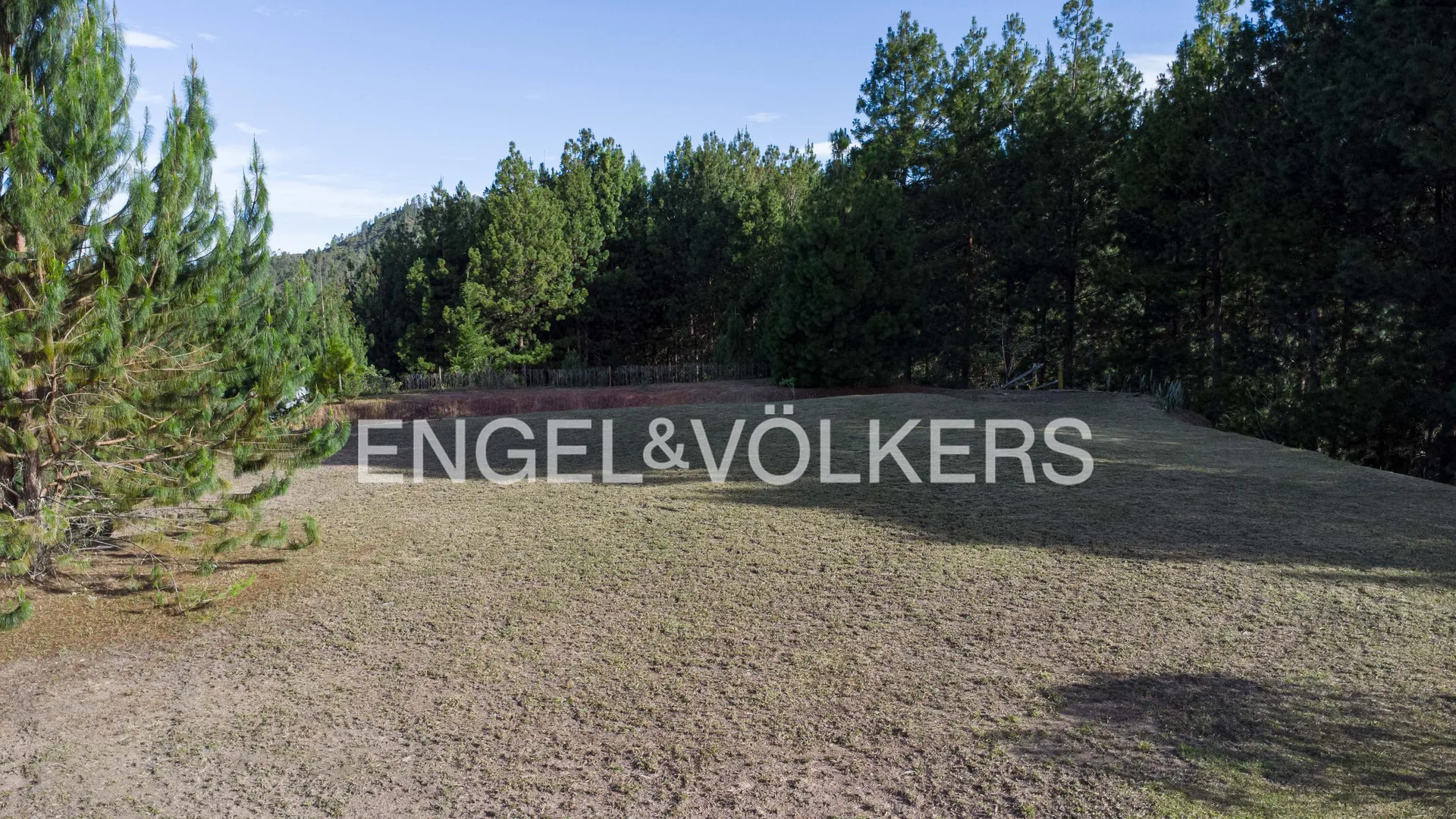 Land in El portento for Sale - 3