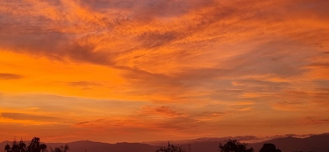 Casa de 6 alcobas en venta en Boyaca, Palmira, 400 m² · foto 7 de 20