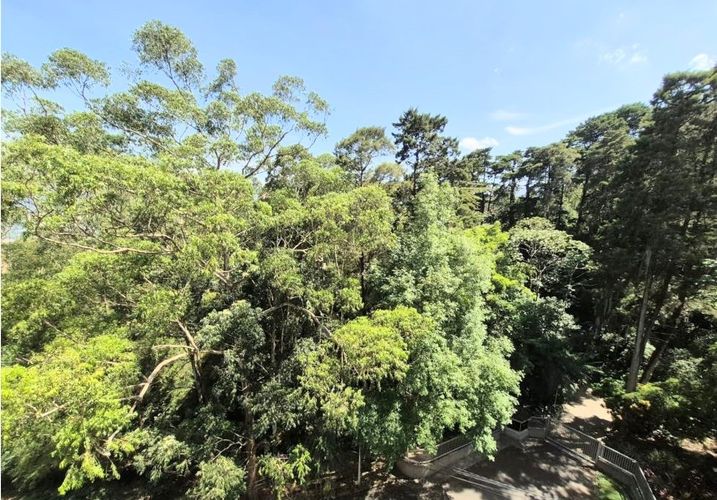 Apartaestudio en venta en El Tesoro, Medellín, 56 m² · foto 5 de 13