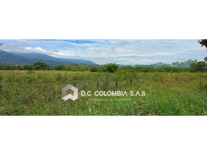 Lote en venta en Hacienda Santa Cruz, Ibagué, 36924 m² · foto 3 de 5
