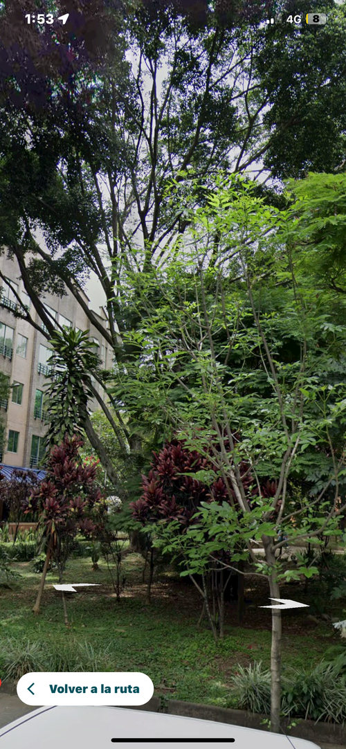 Apartaestudio en arriendo en Suramericana, Medellín, 50 m² · foto 16 de 16