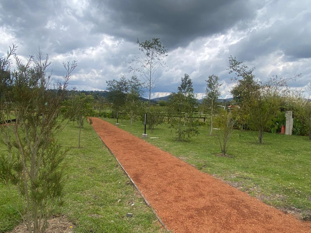 Land in Cabeceras de llanogrande (1500 m²) for Sale - 4