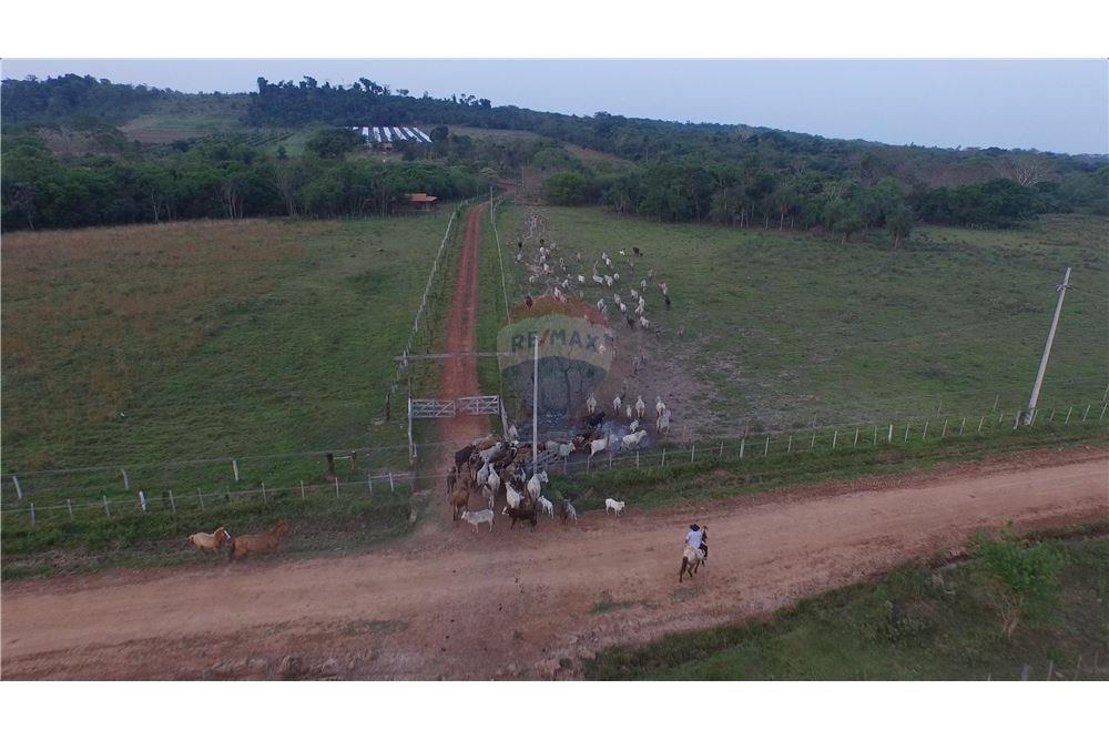 VENDO 111 HECTAREAS EN ARROYOS Y ESTEREOS — foto 2