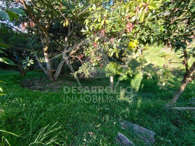 Casa de 4 alcobas en venta en Pablo Sexto, Marinilla, 1800 m² · foto 13 de 17