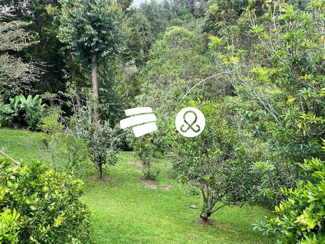 Casa de 5 alcobas en venta en El Porvenir, Rionegro, 1400 m² · foto 17 de 18