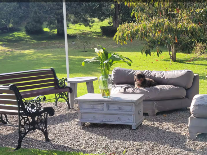 Finca en venta en El Rodeo, La Calera, 550 m² · foto 9 de 24