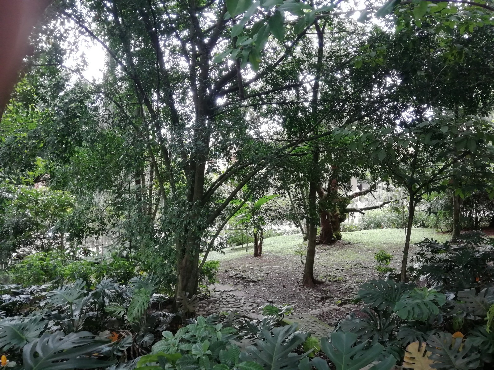 Apartamento en venta en Loma Del Escobero, Envigado · foto 21 de 24