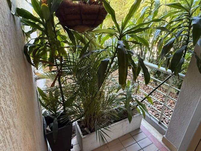 Apartamento de 2 alcobas en arriendo en Los Balsos, Medellín, 90 m² · foto 5 de 7